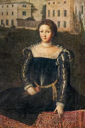 Portrait of a Noblewoman (detail)