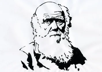 Portrait of Charles Darwin