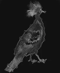 Bird IV