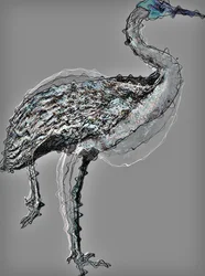 Bird I