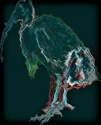 Bird II