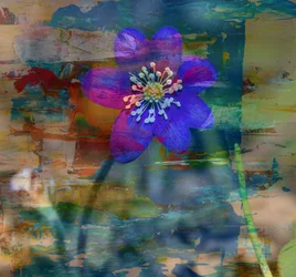 Blue Note II, 2019