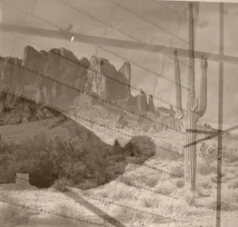 Desert, 2019