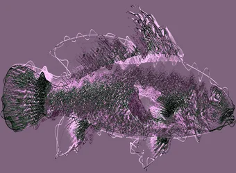 Fish III