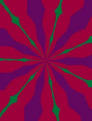 Ornament #16, 2019