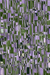 rain, 2019