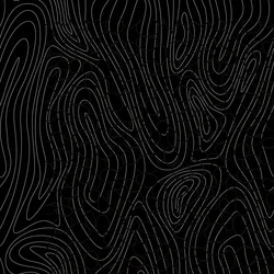 Tree Rings