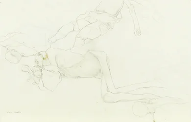 Bodies in a Grave
