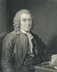 Portrait of Carolus Linnaeus