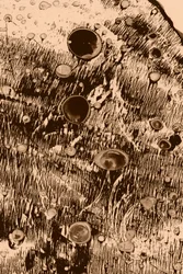 Oxygen