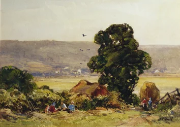 Haymaking