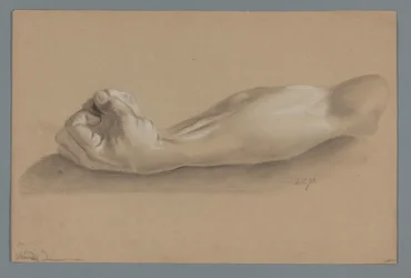 Plaster Model of an Arm with a Clenched Fist