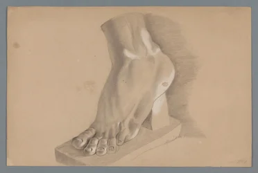Plaster Model of a Foot