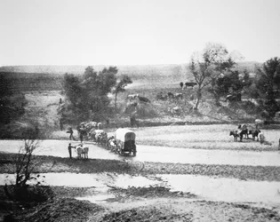 Covered Wagon crossing Tecolate Creek, New Mexico