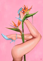 Blue Heels Bird Paradise