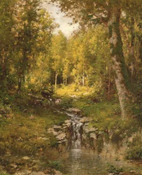 Pool in the Woods