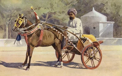 A Benares Ekka