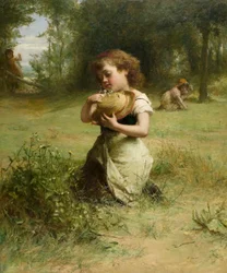 Wild Flowers