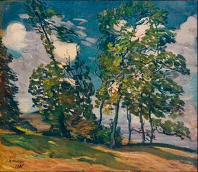 A Windy Day