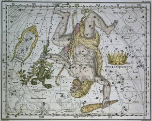 Hercules, from 