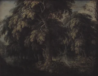 Wooded Landscape