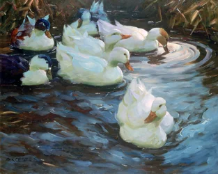 Ducks on a Pond, c. 1884-1932