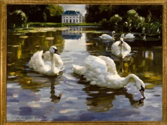 Swans in Nymphenburg