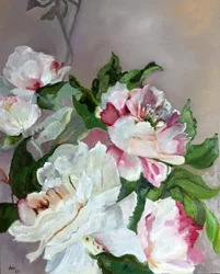 Pink And White Peonies