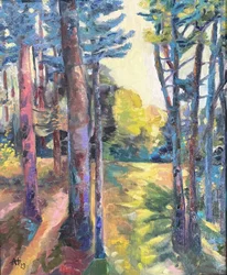 Sunlit Forest Path