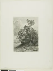 Alpine Landscape