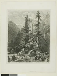 Alpine Landscape