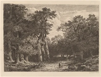 Couple in a Clearing