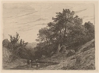 Herd in a Stream