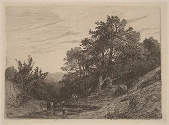 Herd in a Stream