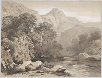 Landscape