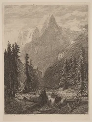 Mountain Meadow