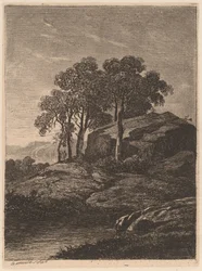 Trees by a Rock