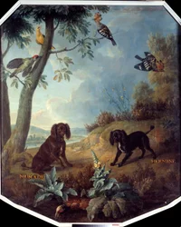 Nutmeg and Hermine, the Dogs of Louis XIV (1638-1715). Painting by Francois Desportes (1661-1743)