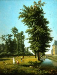 View of a Meadow