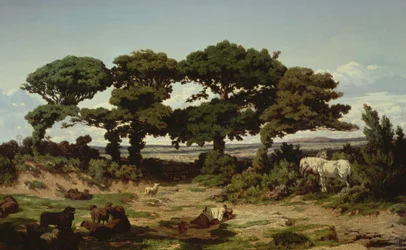 The Oaks of Kertregonnec