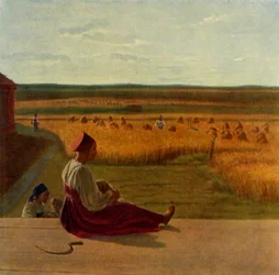 Harvesting. Summer