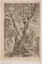 The Owl and the Nightingale