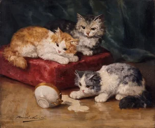 The Cats