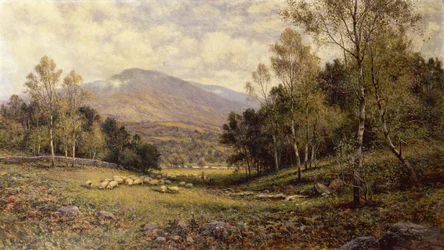 Near Betws-y-Coed
