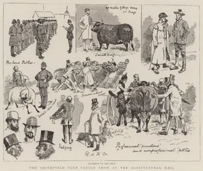 The Smithfield Club Cattle Show at the Agricultural Hall