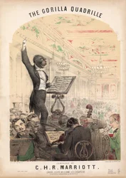 The Gorilla Quadrille