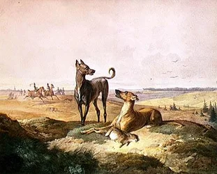 Hare Hunting