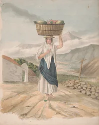 Female Huckster of Port Orotava