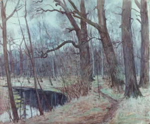 Leipzig Meadow