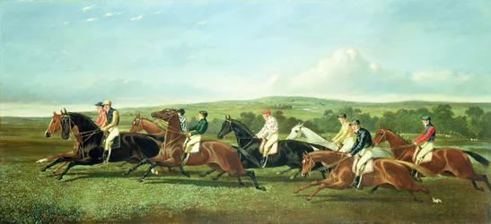The Start of the Race